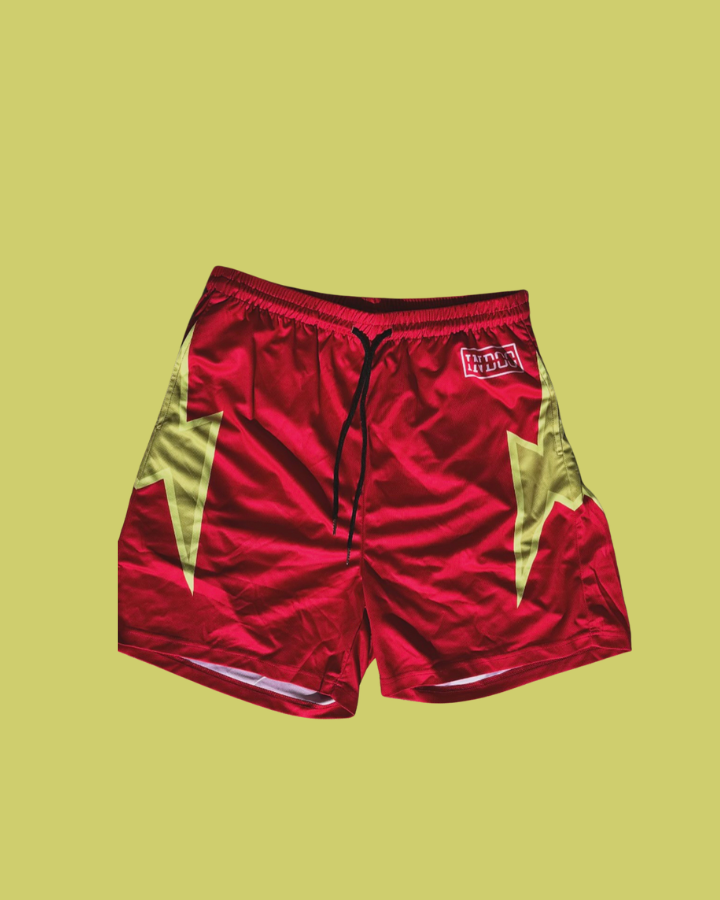 Men's Satin Mesh Shorts